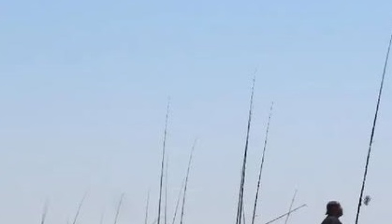 Abrieron las inscripciones para el Gran Torneo de Pesca con casi $50 millones en premios