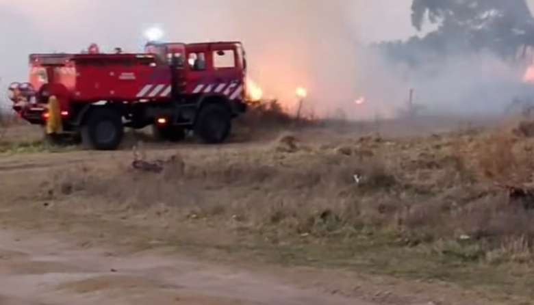 Bomberos controlaron un incendio de pastizales junto a la central eléctrica