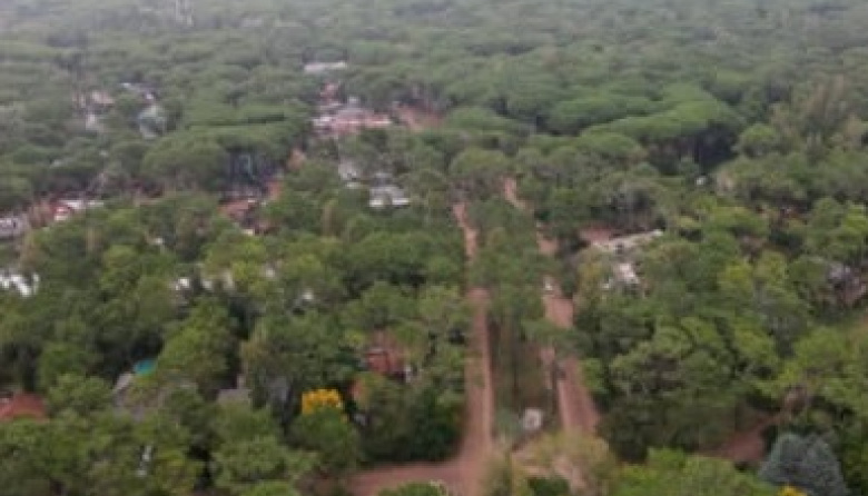 Pinamar debatirá en audiencia pública el proyecto de un nuevo espacio de eventos en Cariló