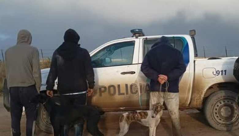 Cuatro hombres fueron imputados por presunta caza ilegal en una zona rural de General Lavalle