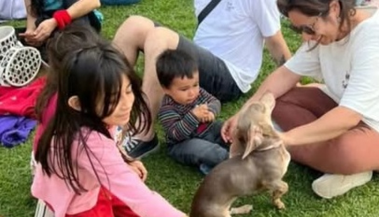 Los perros salchicha vuelven a ser protagonistas en Dolores con un encuentro para toda la familia