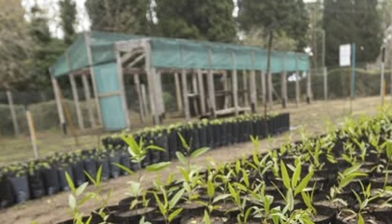 El EcoCanje vuelve a recorrer La Costa: fechas y lugares para intercambiar envases por plantines
