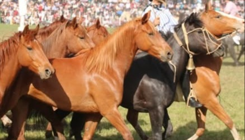 Comenzó la 31ª Gran Fiesta del Talar con siete días de tradición y espectáculos