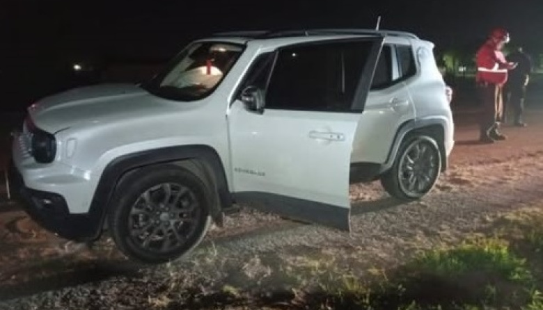 Un automóvil chocó contra un caballo suelto en la Ruta 11, a la altura de Las Toninas