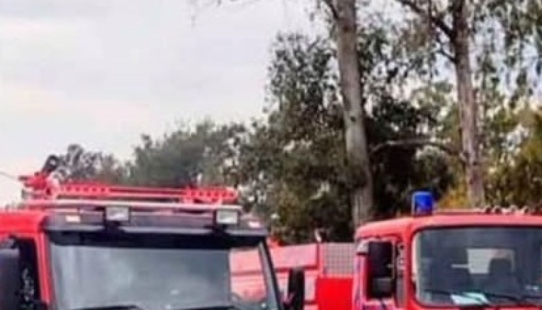  Dos Incendios En Las Toninas: El Fuego Destruyó una vivienda y murió una mascota