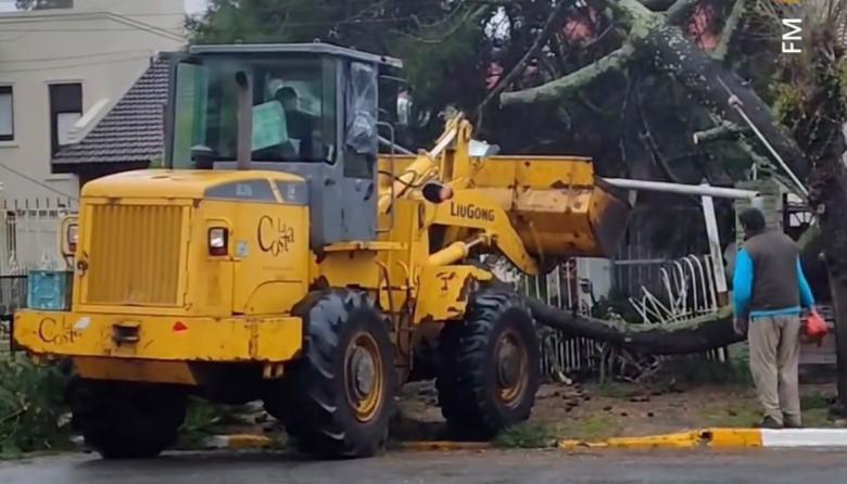Árboles caídos, calles anegadas y cortes de luz: el temporal obligó a suspender las clases en la región