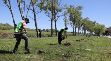 Comenzó un programa de forestación con especies frutales en espacios públicos de La Costa