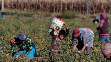 Rescataron a más de 100 trabajadores rurales "en condiciones infrahumanas"