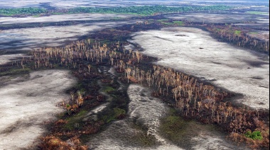 El Ministerio de Ambiente de la Nación organizará la Semana de Acción Climática