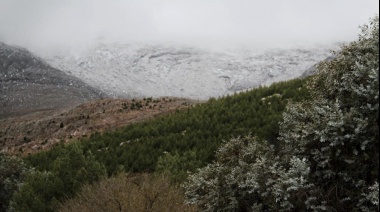 Nevó en el interior bonaerense y no descartan que suceda en La Plata y la costa atlántica