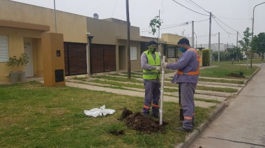 Comenzó la inscripción para el programa «Un árbol para mi vereda»