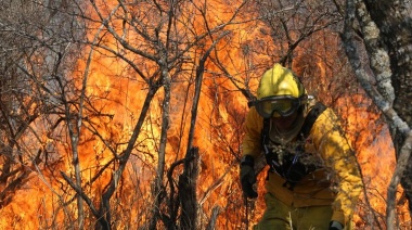 Se levantan voces solidarias con los damnificados por el incendio y destrucción del ecosistema cordobés