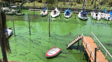 Alerta naranja en las costas de Berisso y Ensenada por la presencia de cianobacterias