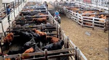 La Sociedad Rural rechazó el Plan Ganadero presentado por el Gobierno