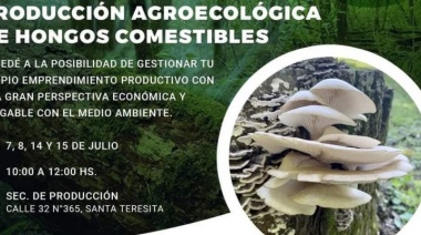 Capacitación en producción agroecológica de hongos comestibles