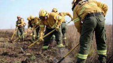 Incendios del Delta: Ambiente denunciará a los dueños de los predios