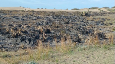Intenso trabajo de Bomberos de San Clemente del Tuyú: nuevamente quema de pastizales en zona norte