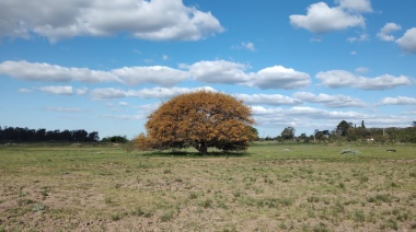 Convocan a Asamblea vecinal por la preservación de la ruralidad y la agroecología en Ministro Rivadavia