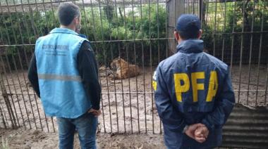 La Fiscalía Federal solicita juicio oral para un hombre acusado de poseer ilegalmente más de 300 animales silvestres