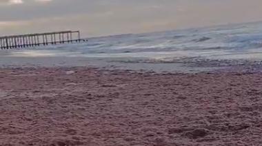 Playas rojas en Mar del Plata y Necochea: un fenómeno natural que sorprendió a los turistas