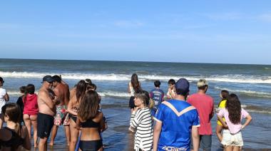 Intentan sacar una tortuga Laúd del agua en Lucila del Mar