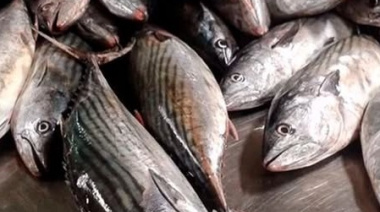 Pescado fresco todo el invierno: puestos artesanales en el Partido de La Costa