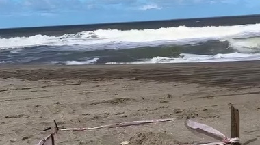 Hallazgo en Ostende: un perro encontró un cráneo humano en la playa