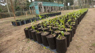 Nueva edición del programa Eco Canje para cuidar el ambiente y sumar más verde en La Costa