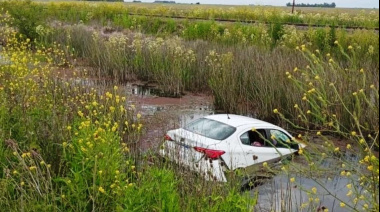 Una abeja provocó un accidente en la Ruta 2: una pareja de adultos mayores cayó con su auto a una zanja