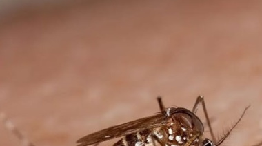 La Costa lanza una campaña territorial para prevenir el dengue: “Cuidar la Vida 2025/2026”