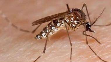 La Costa lanza una campaña territorial para prevenir el dengue: “Cuidar la Vida 2025/2026”