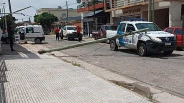 Un micro arrancó cables y una luminaria cayó sobre un patrullero: no hubo heridos