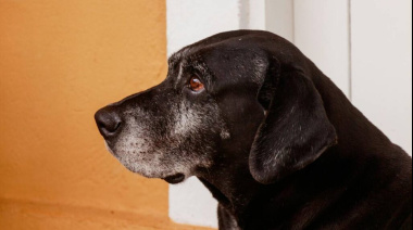 El viejo de Bettinoti - Un cuento de Angel Damian Ruiz Diaz