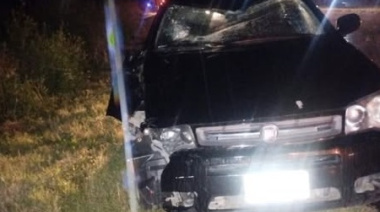 Chocó contra un caballo suelto en la Ruta 11 y se salvó de milagro