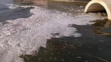 Detectan restos de medicamentos en el Río de la Plata y en ríos que desembocan en él