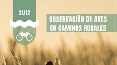Observación de aves en los caminos rurales de General Lavalle