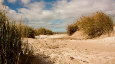 Ecoturismo y experiencias al aire libre: Anila Salvaje propone actividades en San Clemente del Tuyú