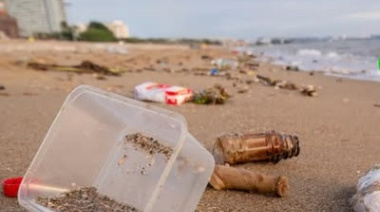 Alerta ambiental: casi el 80% de la basura en playas bonaerenses es plástico