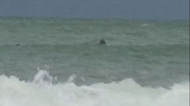 Cinco guardavidas salvaron a un hombre que era arrastrado por el mar en San Bernardo