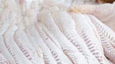 Dónde comprar pescado fresco directo del mar en el Partido de La Costa