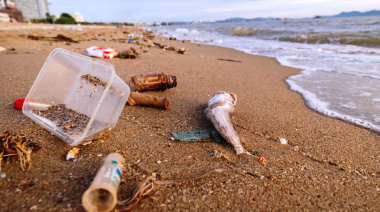 La Provincia firmó con el CONICET un acuerdo para monitorear el ambiente marino en la Costa Atlántica
