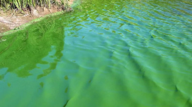 Alertan por presencia de cianobacterias en varias lagunas bonaerenses