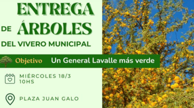 General Lavalle realizará una jornada de forestación y entregará árboles gratis a vecinos