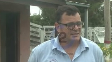 Histórico remate ganadero en General Lavalle: más de 15 mil cabezas se comercializaron con transmisión en vivo de Canal Rural