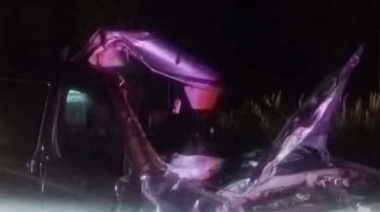 Una camioneta chocó contra un caballo suelto en la Ruta 11 y una persona resultó herida