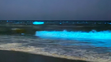 Las noctilucas iluminaron las playas y sorprendieron en San Bernardo