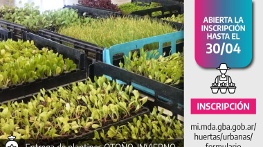 Impulsan la huerta urbana con entrega de plantines en la Provincia