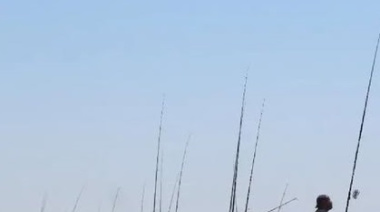 Abrieron las inscripciones para el Gran Torneo de Pesca con casi $50 millones en premios