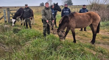 La Costa entregó 18 caballos rescatados a una asociación dedicada a su rehabilitación