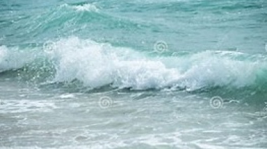 Limpieza de playa, charlas y cine documental en una tarde dedicada a los océanos